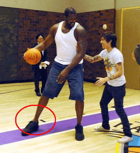 命风险的零 命风险的零